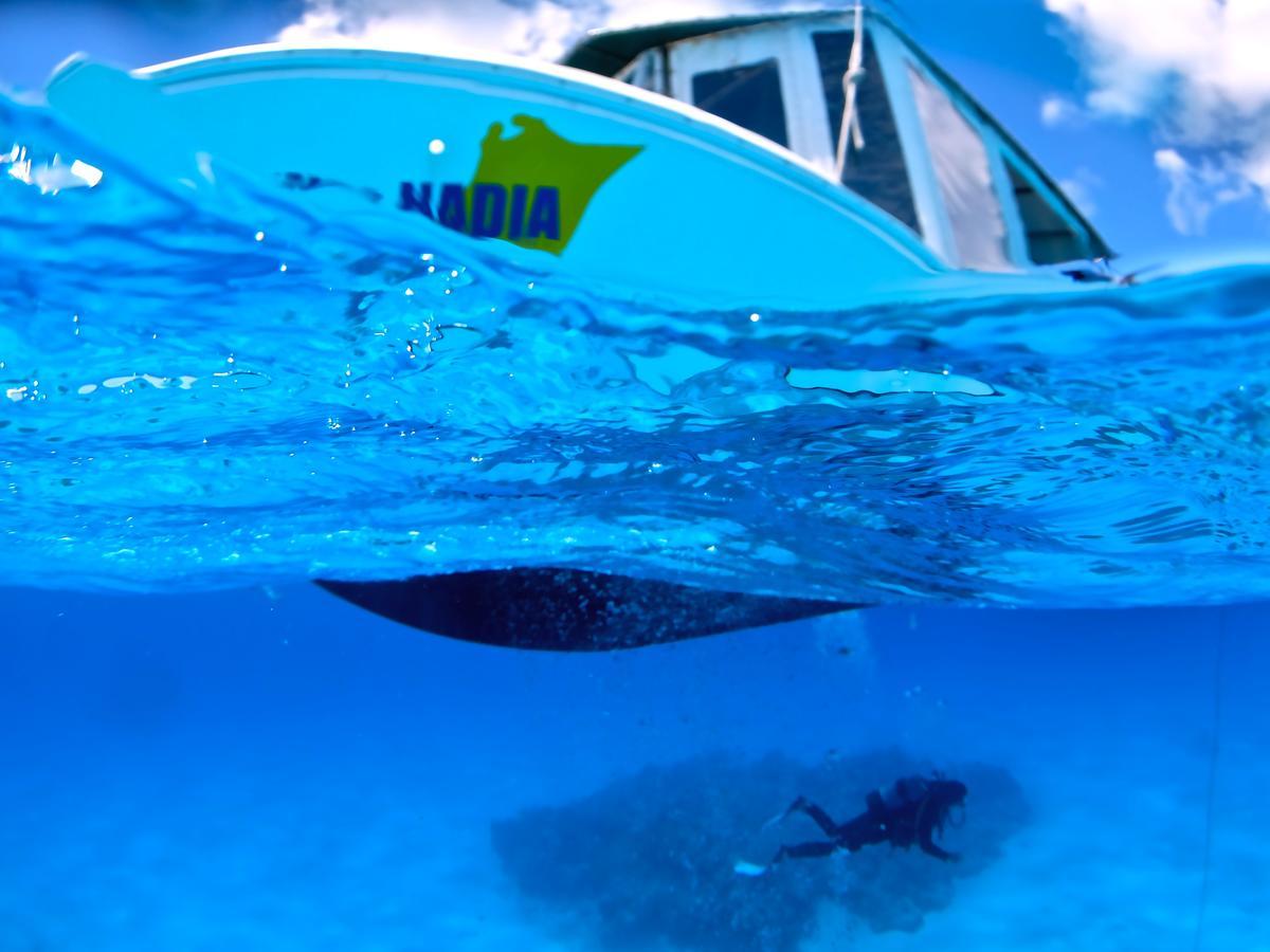 Ishigakijima Guesthouse Seacoro Ishigaki  المظهر الخارجي الصورة